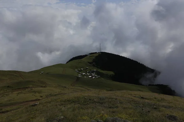 Nebel Erreicht Das Gito Plateau Landschaftsbild Von Nebel Und Vieh — Stockfoto