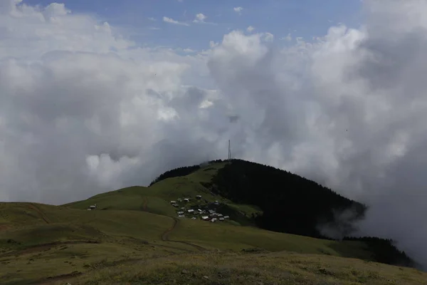 Nebel Erreicht Das Gito Plateau Landschaftsbild Von Nebel Und Vieh — Stockfoto