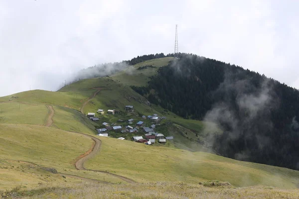 Туман Прибуває Плато Гіто Пейзажна Фотографія Туману Великої Рогатої Худоби — стокове фото