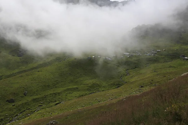 Gito Plateau Přistane Mlha Zahradní Fotografie Mlhy Dobytka Rize Severovýchodní — Stock fotografie