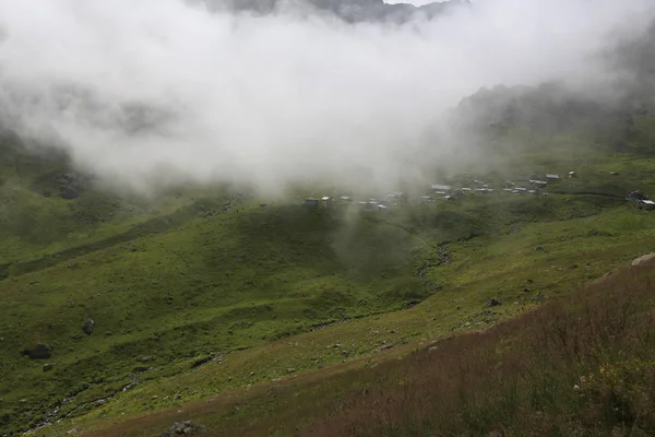 Brouillard Arrive Plateau Gito Photo Paysage Brouillard Bétail Rize Nord — Photo