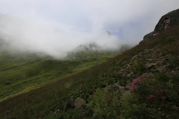 Nebel Erreicht Das Gito Plateau Landschaftsbild Von Nebel Und Vieh — Stockfoto