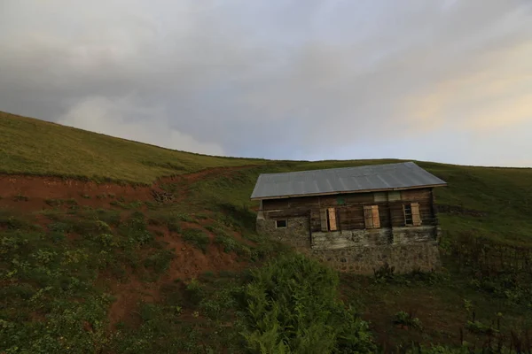 Köd Érkezik Gito Plateau Táj Fotó Köd Szarvasmarha Rize Északkelet — Stock Fotó