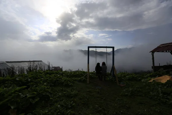 Nebel Erreicht Das Gito Plateau Landschaftsbild Von Nebel Und Vieh — Stockfoto