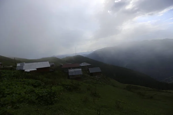 Mgła Przybywa Płaskowyżu Gito Krajobraz Zdjęcia Mgły Bydła Rize Północno — Zdjęcie stockowe