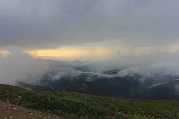 Niebla Llega Meseta Gito Paisaje Foto Niebla Ganado Rize Noreste —  Fotos de Stock