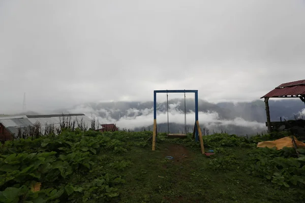 Nebel Erreicht Das Gito Plateau Landschaftsbild Von Nebel Und Vieh — Stockfoto