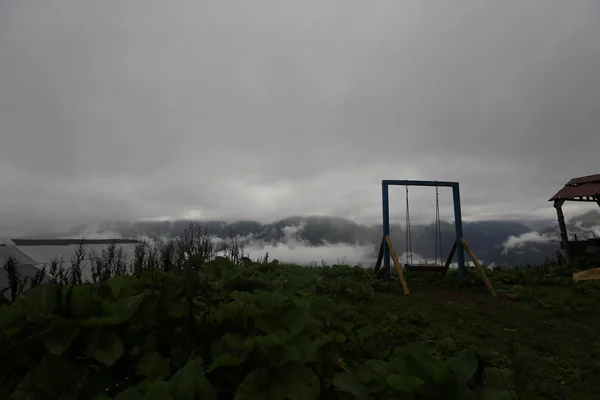 Nebel Erreicht Das Gito Plateau Landschaftsbild Von Nebel Und Vieh — Stockfoto