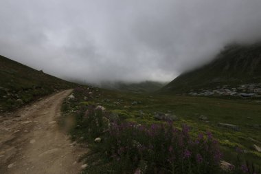 Karadeniz, Rize Trovit Vadisi, Türkiye, View