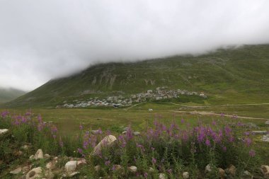 Karadeniz, Rize Trovit Vadisi, Türkiye, View