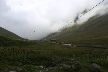 Karadeniz, Rize Trovit Vadisi, Türkiye, View