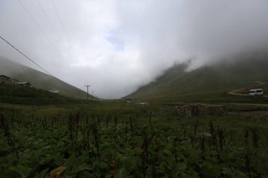 Karadeniz, Rize Trovit Vadisi, Türkiye, View