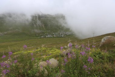Karadeniz, Rize Trovit Vadisi, Türkiye, View