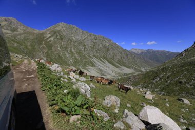 Karadeniz, Rize Trovit Vadisi, Türkiye, View