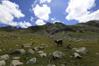 Kaçkar Buzul Gölleri / Karadeniz