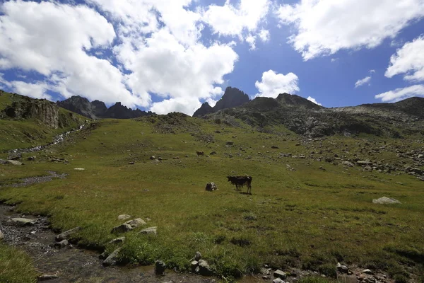 Laghi Del Ghiacciaio Del Kackar Mar Nero — Foto Stock