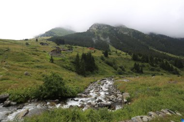 Türkiye 'nin Karadeniz bölgesinde Rize' nin Elevit tepelerinden güzel bir manzara.
