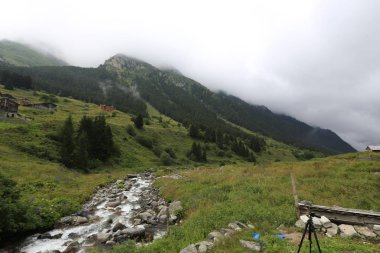 Türkiye 'nin Karadeniz bölgesinde Rize' nin Elevit tepelerinden güzel bir manzara.