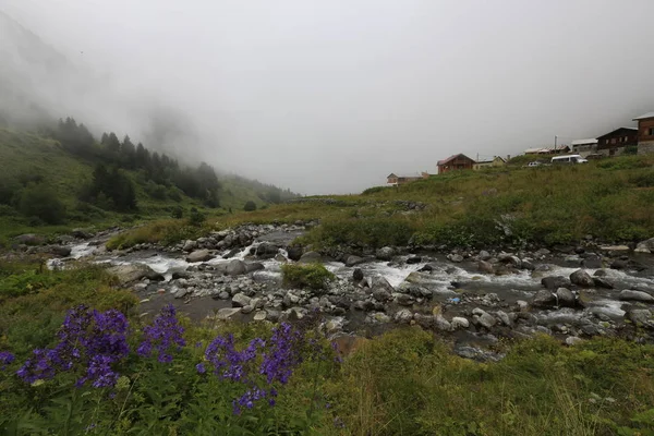 A beautiful landscape from the Elevit uplands of Rize in Black Sea region of Turkey.