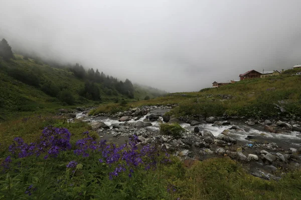 A beautiful landscape from the Elevit uplands of Rize in Black Sea region of Turkey.