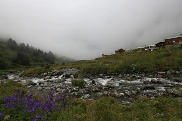 A beautiful landscape from the Elevit uplands of Rize in Black Sea region of Turkey.