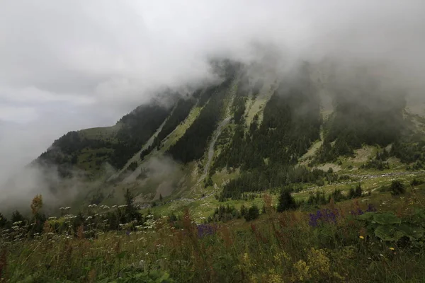 Uma Bela Paisagem Das Terras Altas Elevit Rize Região Mar — Fotografia de Stock