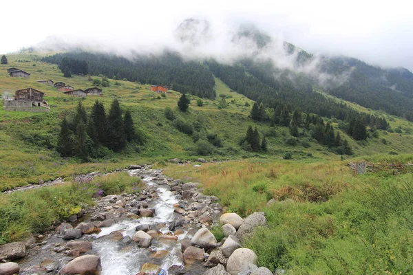 A beautiful landscape from the Elevit uplands of Rize in Black Sea region of Turkey.