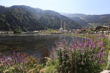 Trabzon'da UzunGöl Gölü