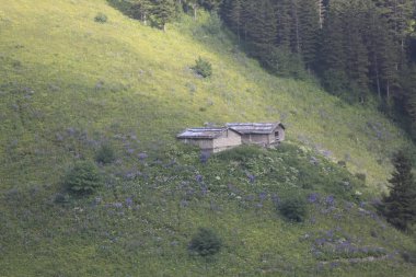 Trabzon'da UzunGöl Gölü