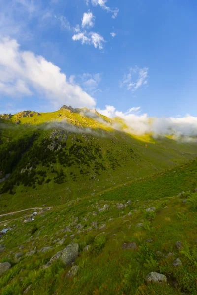 Black Sea Rize Amlakit Stream Турция Вид — стоковое фото