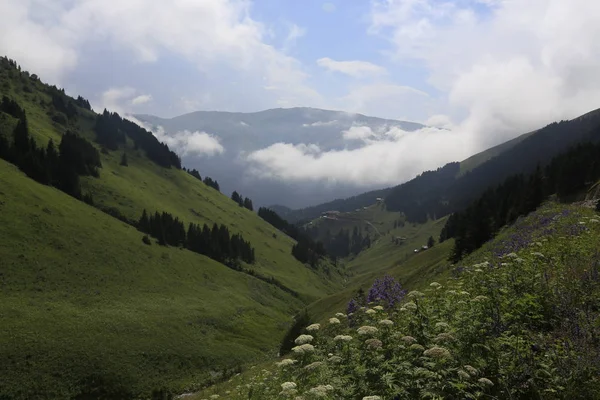 Long Lake Uzungol Itt Trabzon Törökország — Stock Fotó