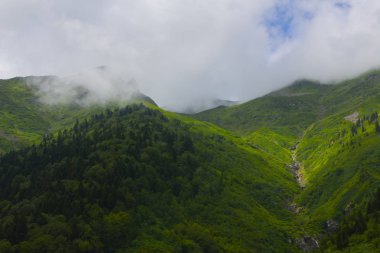 Türkiye'nin Karadeniz bölgesinde Kaçkar Dağları manzarası.