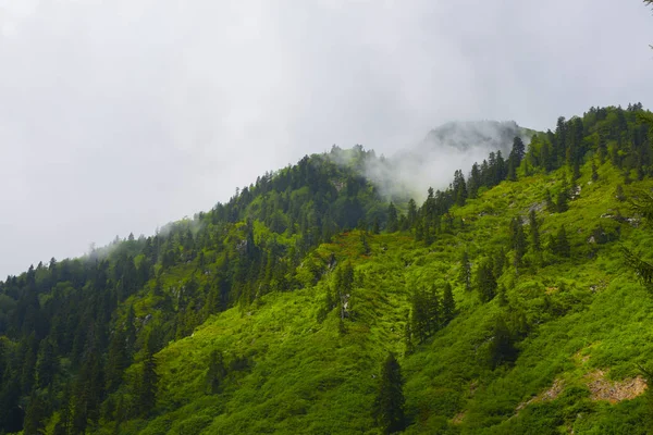 Vue Sur Les Montagnes Kackar Dans Région Mer Noire Turquie — Photo