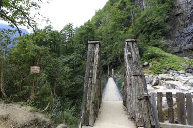 Mencuna Şelalesi Doğu Karadeniz'in en görkemli şelalesi - Sanat Türkiye