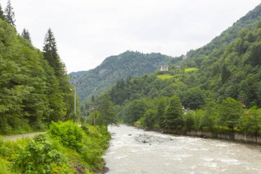 Senyuva'da tarihi Osmanlı köprüsü Taşköprü, Ermenice Cinciva, Rize ilinin Çamlıhemşin yakınlarındaki Firtina nehri üzerinde