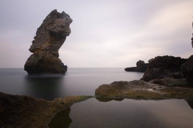 Deniz, ağaçlar ve bulutlu hava. Kadıköy,Kırklareli/Türkiye