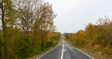 Deniz, ağaçlar ve bulutlu hava. Kadıköy,Kırklareli/Türkiye