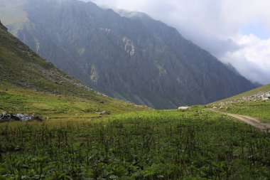 Karadeniz ve Türkiye'de Vercenik Dağı'nın zirvesine yürüyen dağcılar.