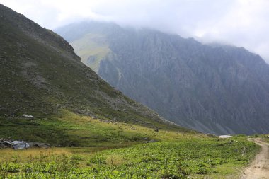 Karadeniz ve Türkiye'de Vercenik Dağı'nın zirvesine yürüyen dağcılar.