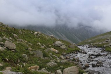 Karadeniz ve Türkiye'de Vercenik Dağı'nın zirvesine yürüyen dağcılar.