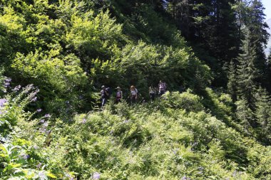 Kaçkar Dağları ve Peyzaj 