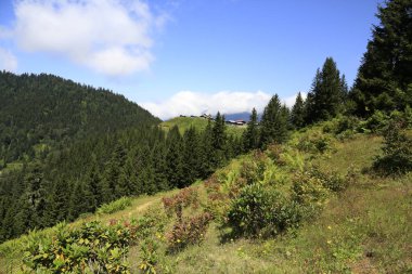 Kaçkar Dağları ve Peyzaj 