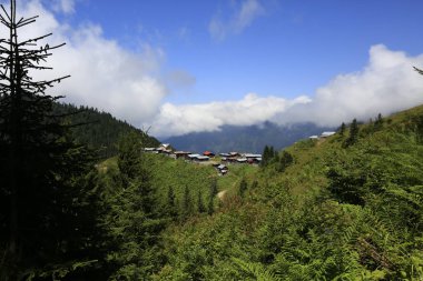 Kaçkar Dağları ve Peyzaj 