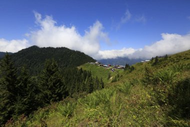 Kaçkar Dağları ve Peyzaj 