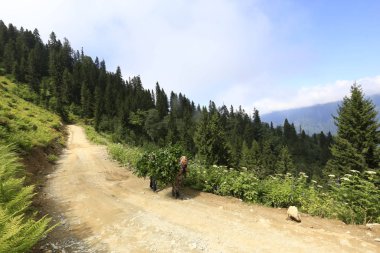Kaçkar Dağları ve Peyzaj 