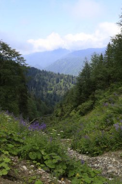 Kaçkar Dağları ve Peyzaj 