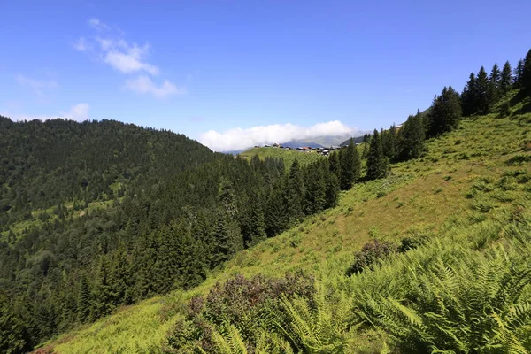 Kaçkar Dağları ve Peyzaj 