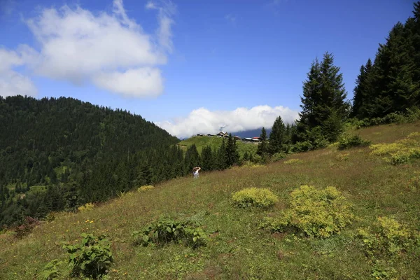 Kaçkar Dağları ve Peyzaj 