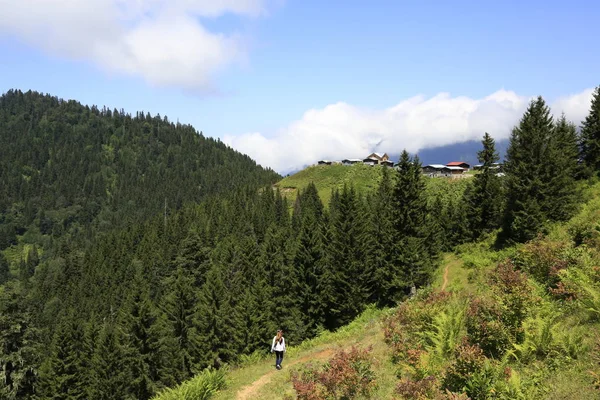 Kaçkar Dağları ve Peyzaj 