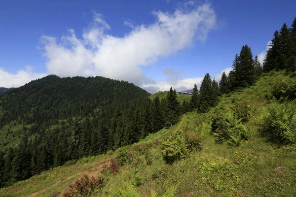 Kaçkar Dağları ve Peyzaj 
